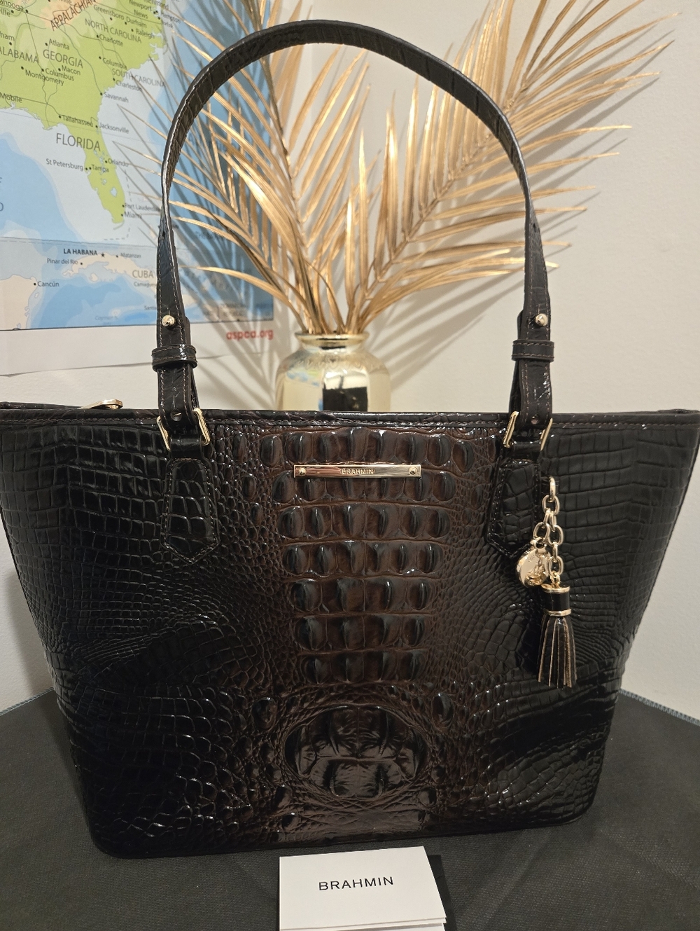 Brahmin Medium Asher  Melbourne Leather Tote 